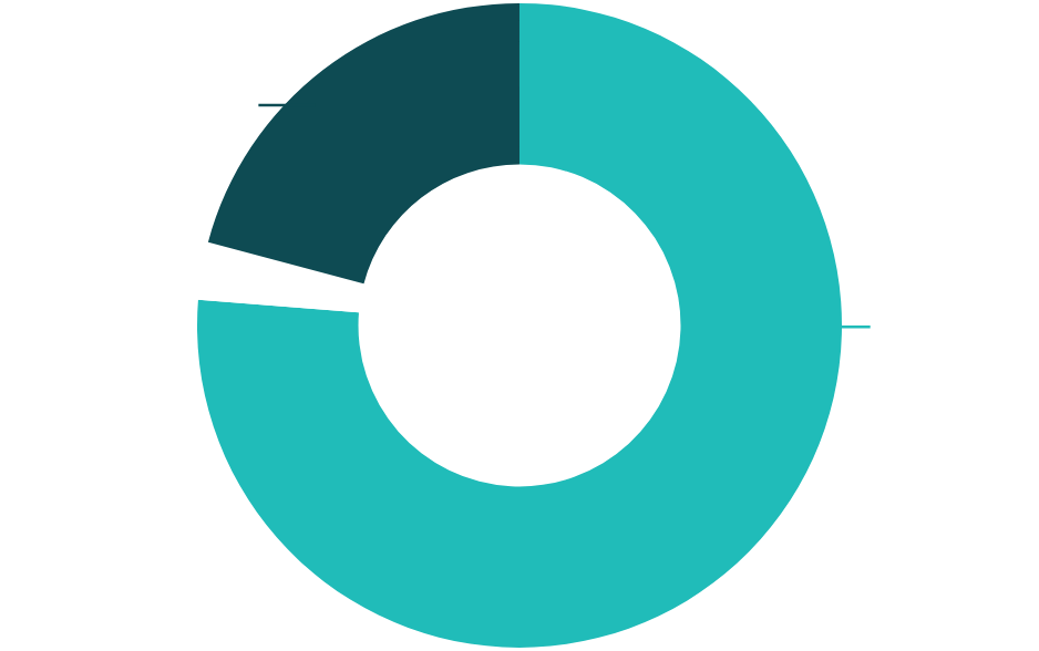 CMHD pie chart